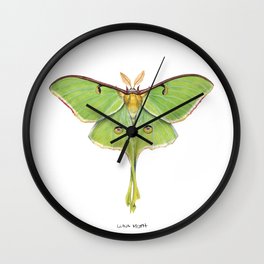 Luna Moth (Actias luna) II Wall Clock | Scientific, Painting, Lepidoptera, Lepidopterist, Entomology, Actiasluna, Illustration, Moth, Luna, Lunamoth 