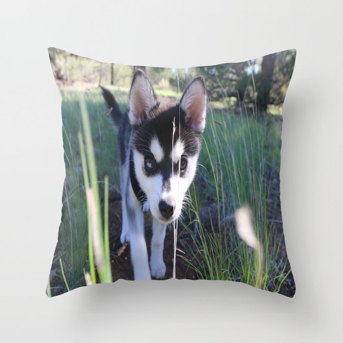 Koa On The Hunt Throw Pillow By Nicolettehand Koa On The Hunt Throw Pillow By Nicolettehand
