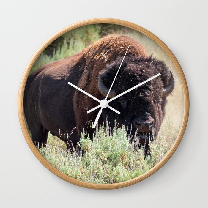 Buffalo Wildlife Photography Yellowstone National Park Wyoming Print Wall Clock