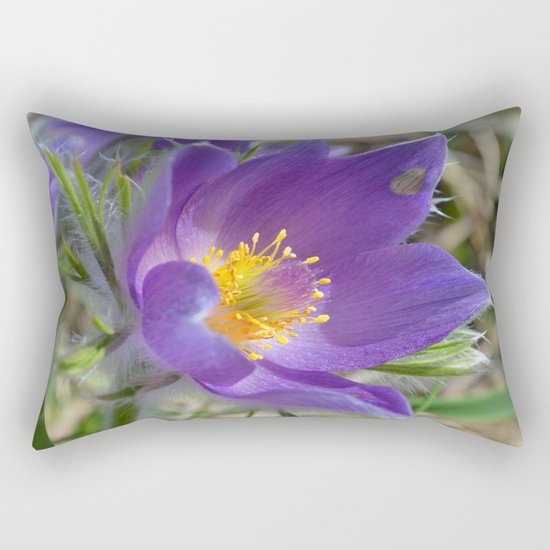 Purple Pasqueflower Rectangular Pillow