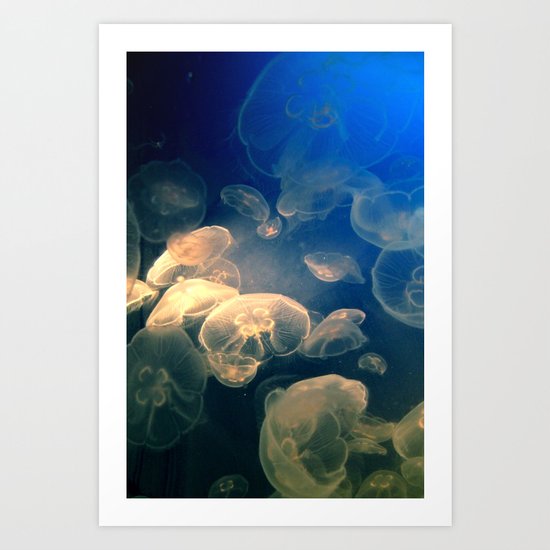 Moon Jelly Art Print