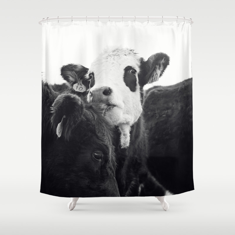 Kissing Cows Print Shower Curtain By, Cow Print Shower Curtain