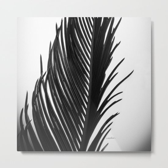 Palm: The Abstract in Black Metal Print