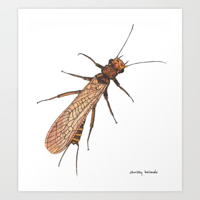 Stonefly 2 (In-Color) Art Print