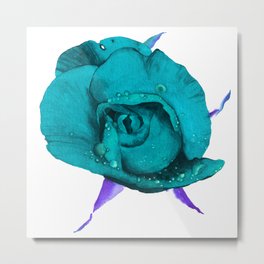 turquoise rose Metal Print