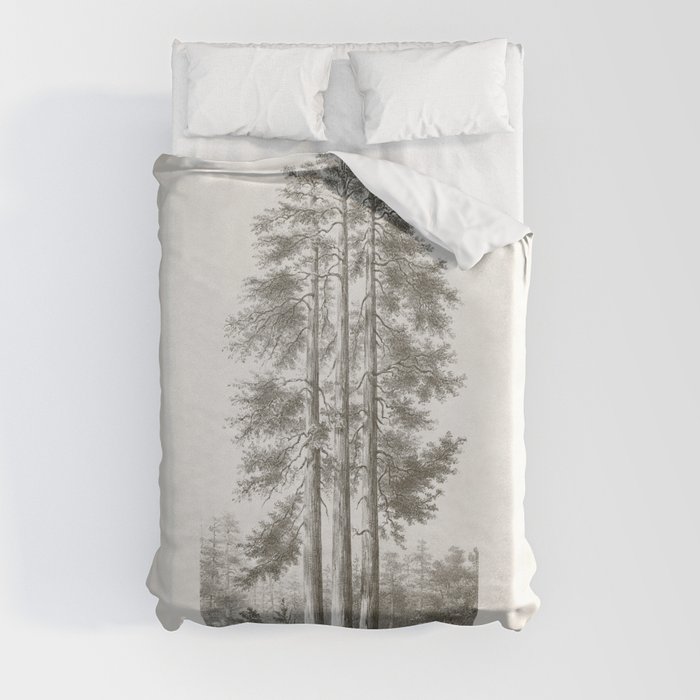 Sequoia Tree Illustration - The Three Graces at Mariposa Grove in Yosemite National Park Duvet Cover