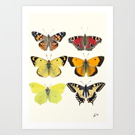 Vintage French Butterfly Art Print