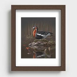 Red-breasted Goose bird Recessed Framed Print