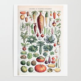 Adolphe Millot - Légumes pour tous - French vintage poster Poster