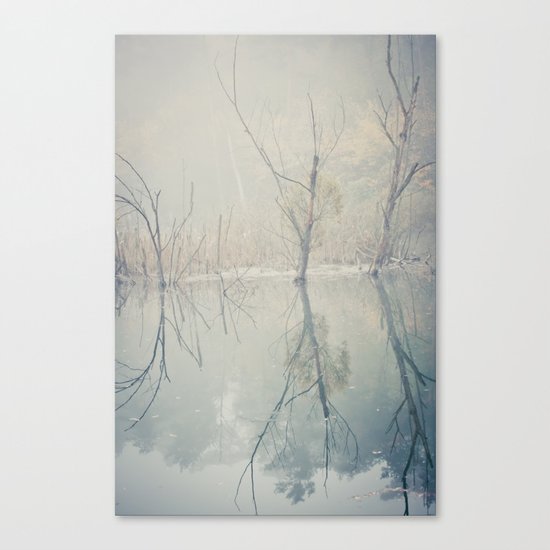foggy morning at the lake Canvas Print