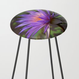 Kew Water Lily Counter Stool