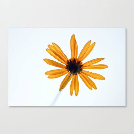Towards the Sun...8689 Canvas Print