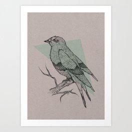 Bird Fascination Art Print