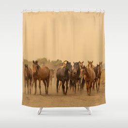 Wild Horses 6608 - Northwestern Nevada Shower Curtain