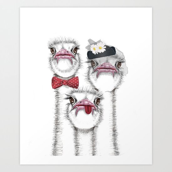Ostrich family Art Print