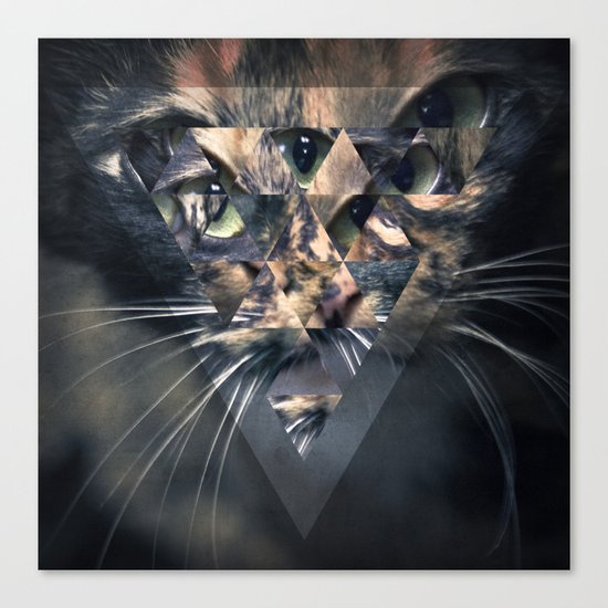 MYN_YTYR Canvas Print