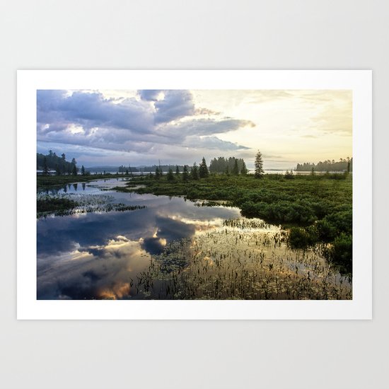 golden morning Art Print