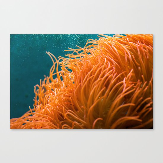 Aquarium Canvas Print