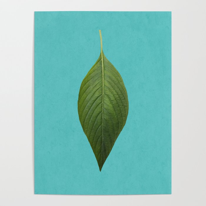 Blue Live Leaf Poster