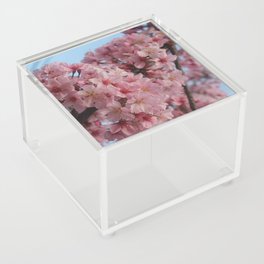 Cherry Tree Acrylic Box