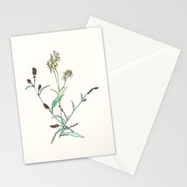 Delicate Wildflowers Stationery Cards