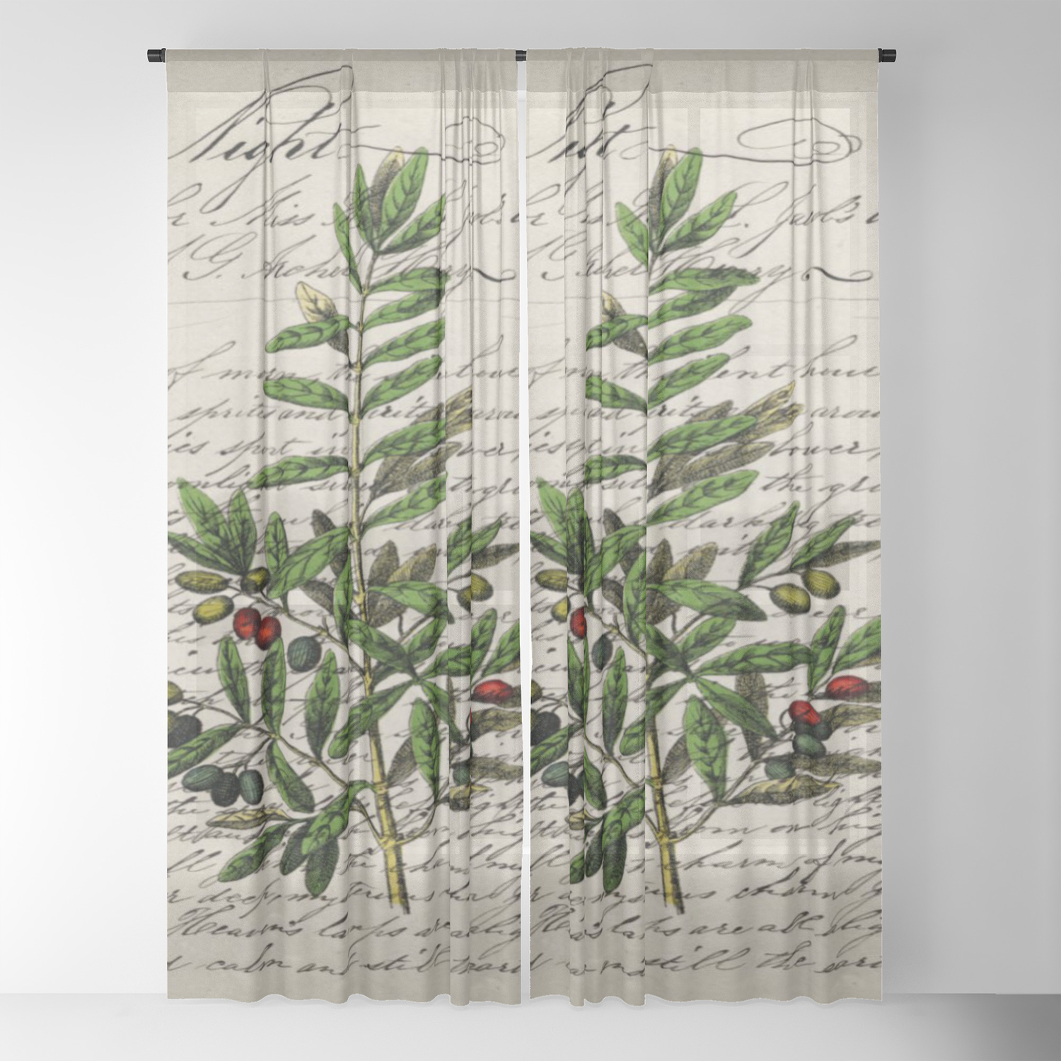 Chic Paris Scripts Kitchen Artwork French Botanical Leaf Olive Chic Paris Scripts Kitchen Artwork