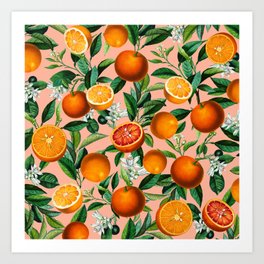 Oranges Pink Vintage Botanical Art Print