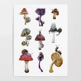 Mushrooms n Snails Poster