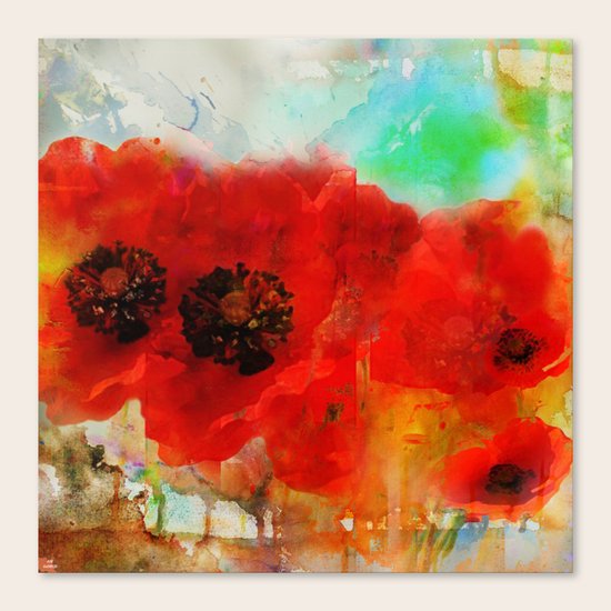 Champ de coquelicots Canvas Print