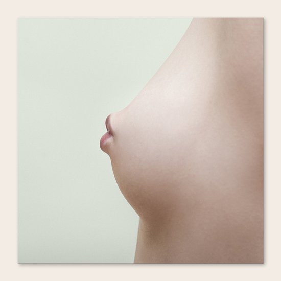 Fake I Canvas Print