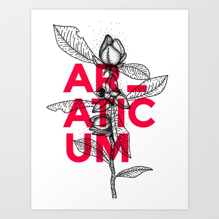 Araticum Art Print
