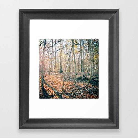 The Forest Framed Art Print
