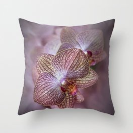 Blooming orchids Throw Pillow