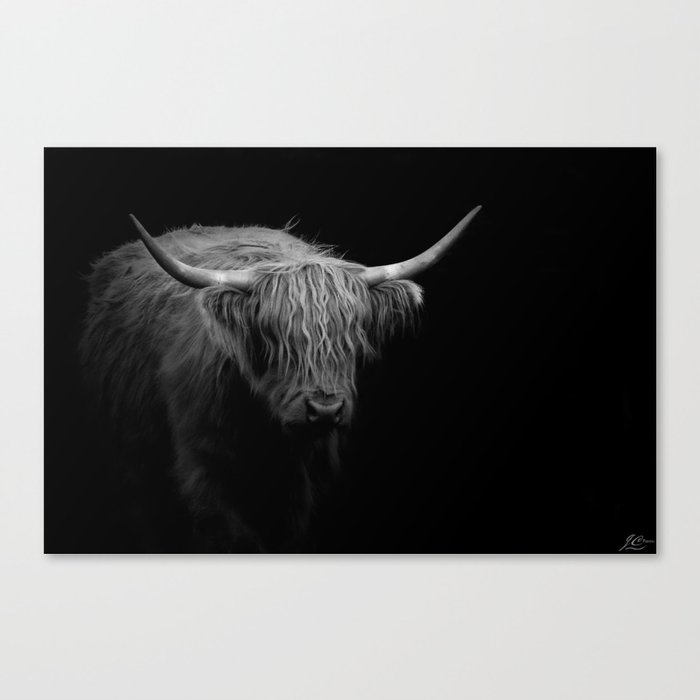 BW Hairy Coo Canvas Print