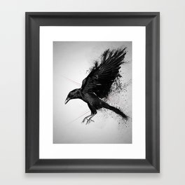 Crow Framed Art Print