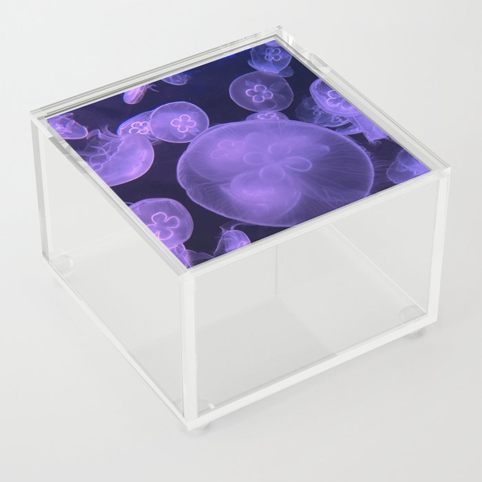 Neon Purple Jellyfish Acrylic Box