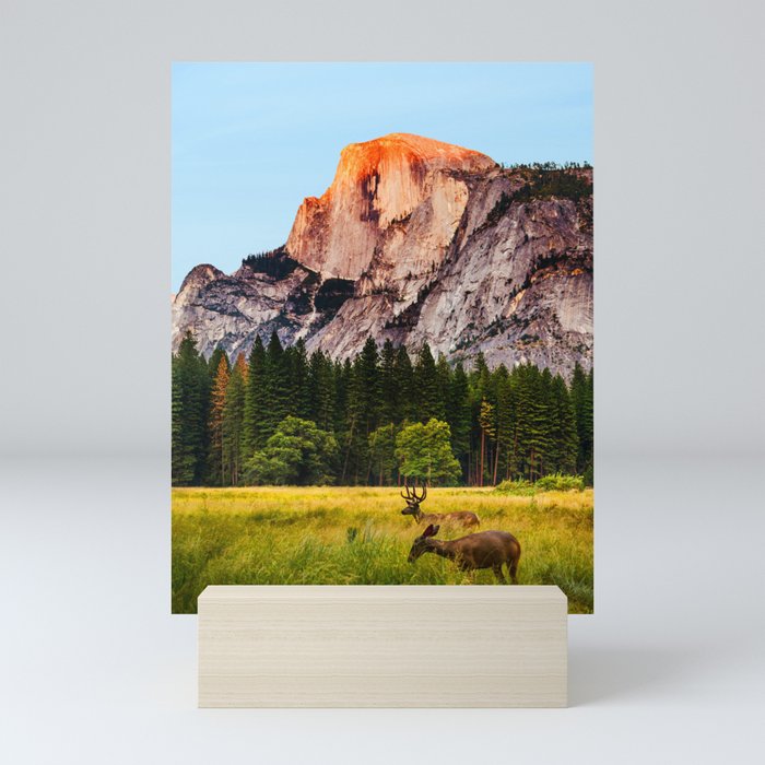 Two Deer Near Half Dome Mini Art Print