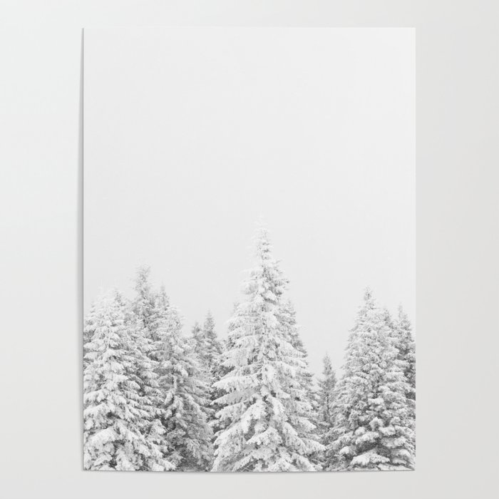 Snowy Evergreen Forest Poster