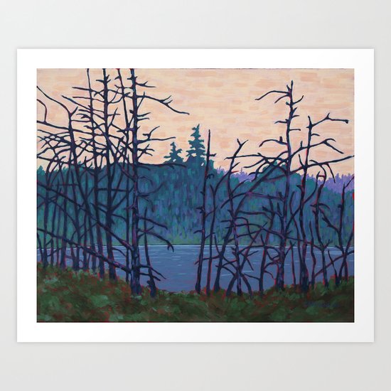 Algonquin Wetland, Algonquin Park Art Print