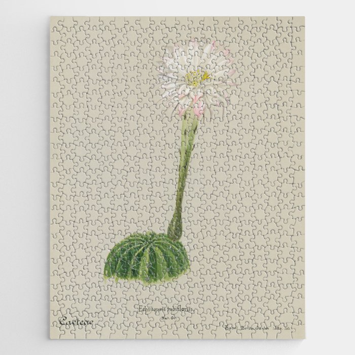 Easter Lily Cactus Jigsaw Puzzle
