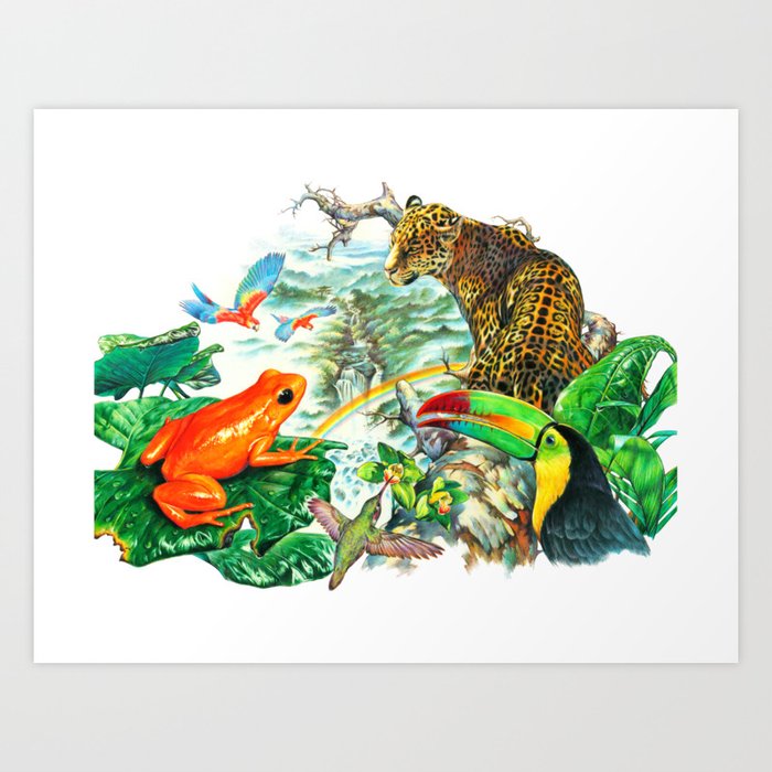Rainforest Animals Art Print by Salmoneggs | Society6
