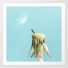 Dandelion Seed Art Print