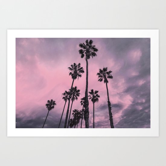 Palm Trees Art Print
