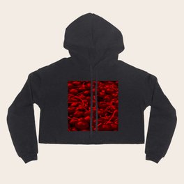 cherries pattern reacdr Hoody