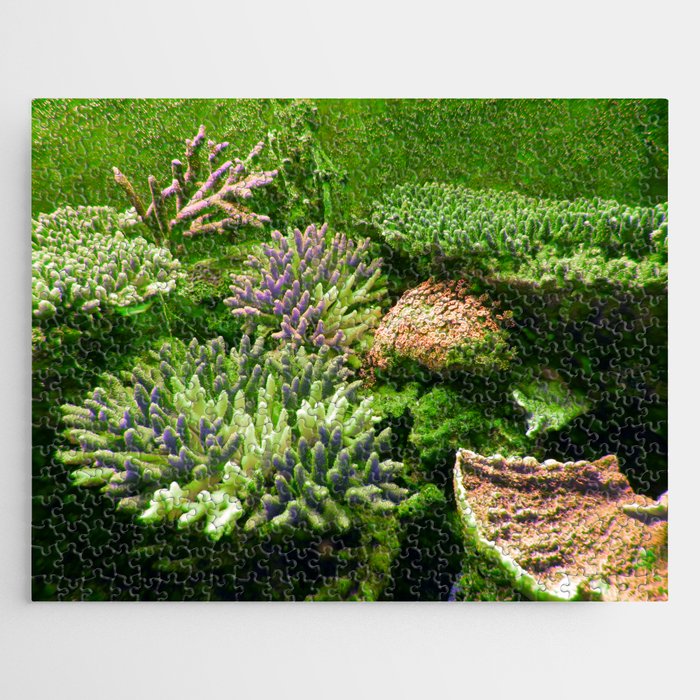 Coral Reef 5 Jigsaw Puzzle
