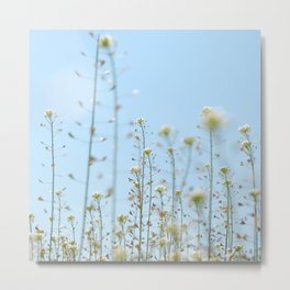 Summer flowers Metal Print | Blue, Macro, Delicate, Sky, Sunny, Summer, Digital, Outdoors, Nature, Blooming 
