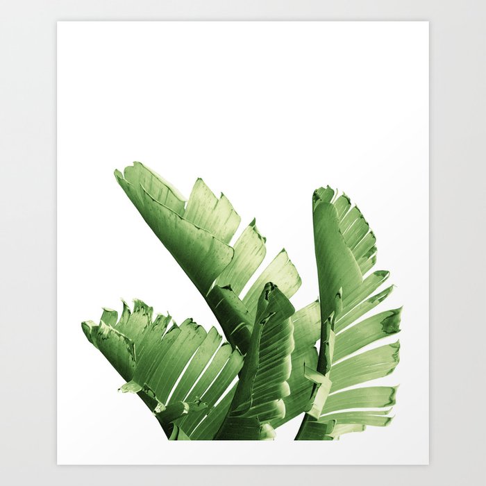 Green Banana Leaves Dream #6 #tropical #decor #art #society6 Art Print