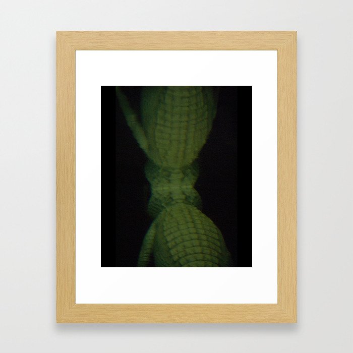 Underwater Alligator Framed Art Print