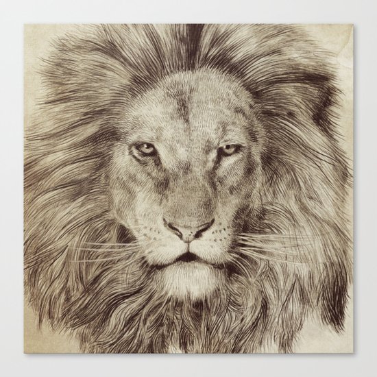 Leo Canvas Print