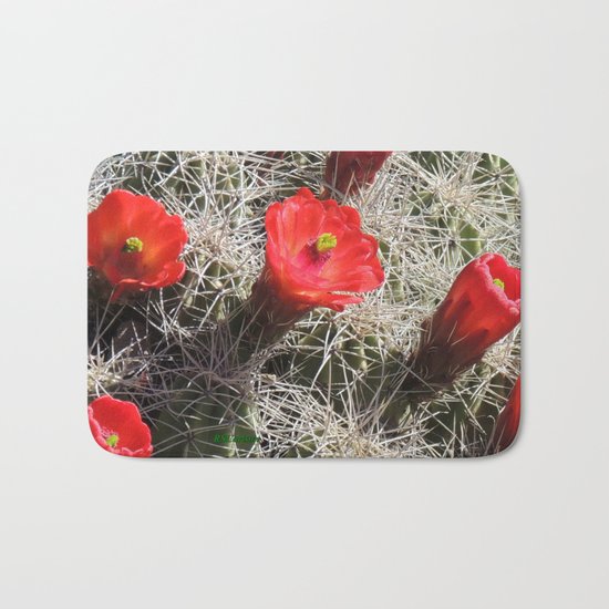 A Hedgehog Cactus Looks Sunward Bath Mat